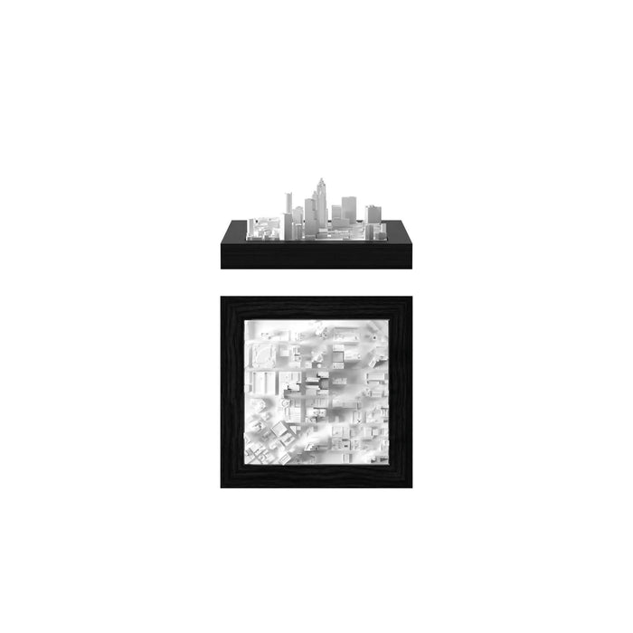 Atlanta miniCUBE