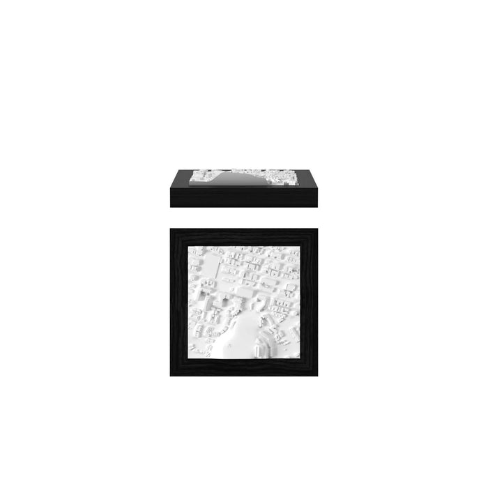 Aspen miniCUBE