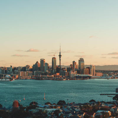 Auckland City Preview