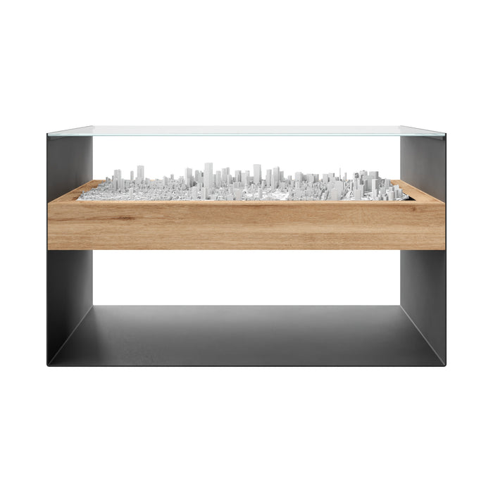 Tokyo city model preview