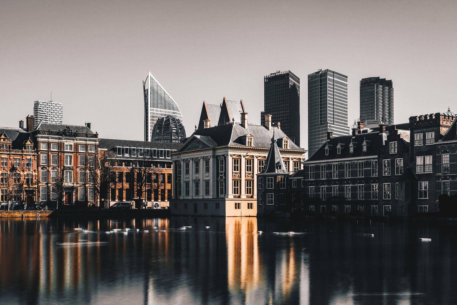 Den Haag City Preview