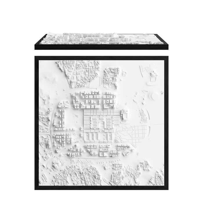 Medina FRAME