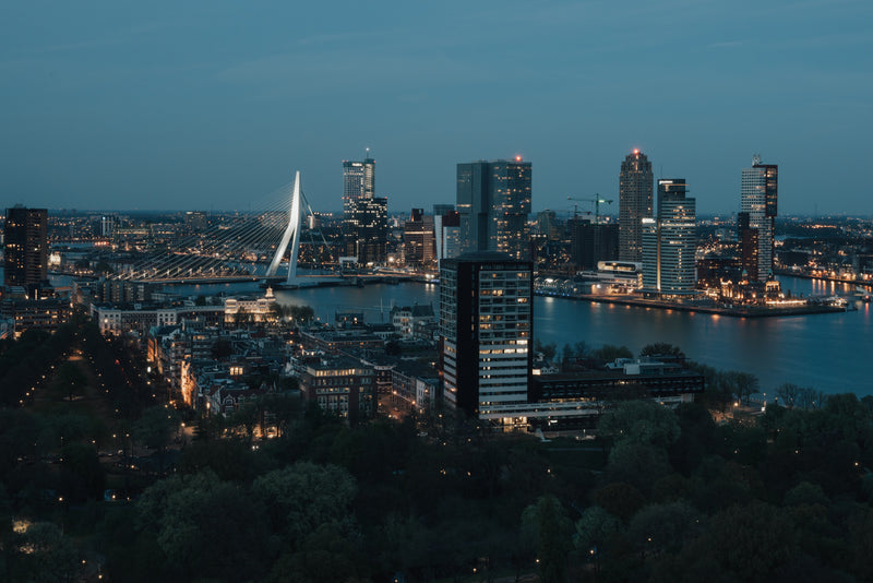 Rotterdam City Preview
