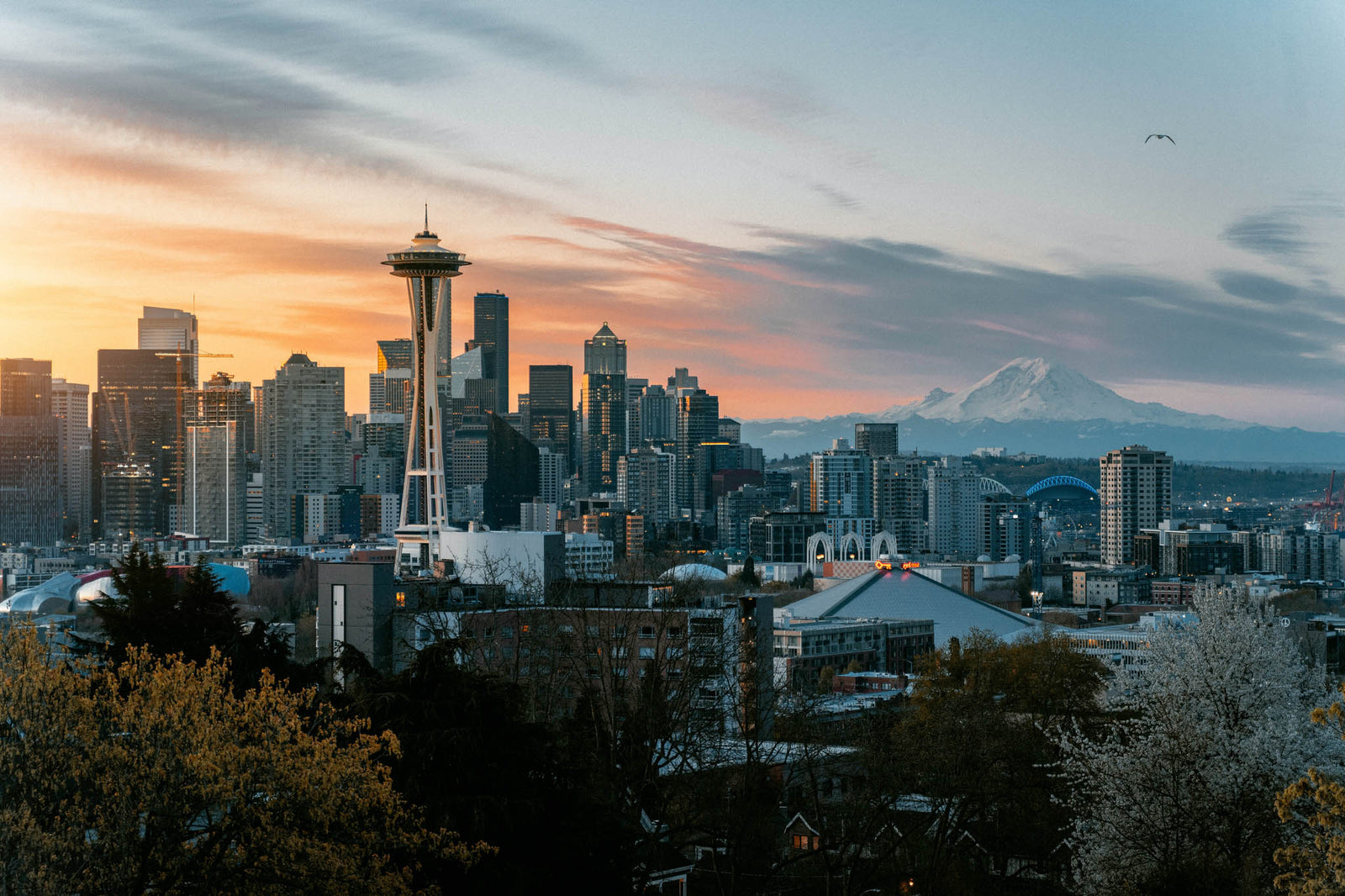 Seattle City Preview