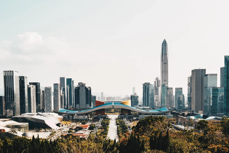 Shenzhen City Preview